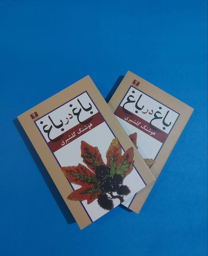 کتاب باغ در باغ اثر هوشنگ گلشیری دو جلدی