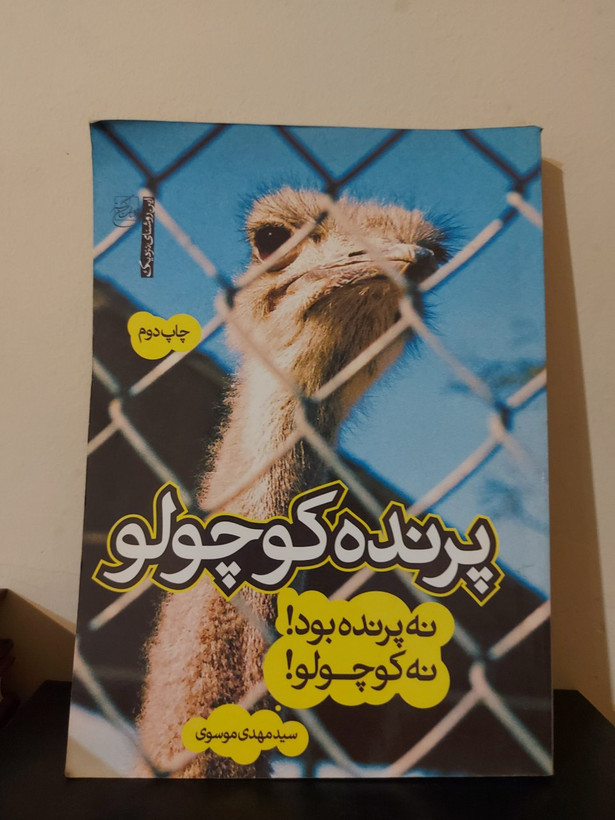 کتاب پرنده کوچولو (نه پرنده بود نه کوچولو) اثر سید مهدی موسوی
