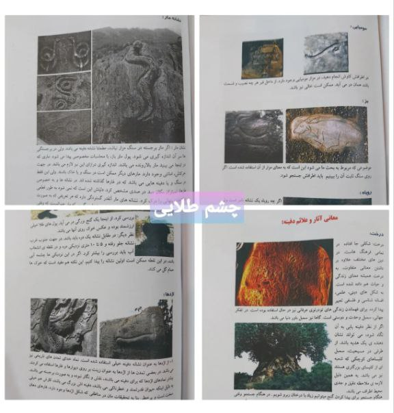 کتاب چشم طلایی (نمادها و نشانه ها)