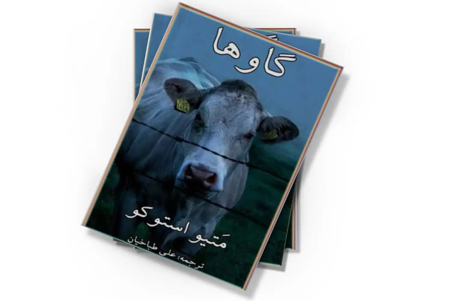 کتاب گاو ها اثر متیو استو کو ترجمه علی طباخیان